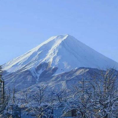 因遮挡富士山风景 日本一新建公寓将被迫拆除